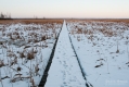003_Biebrza - marzec 2013